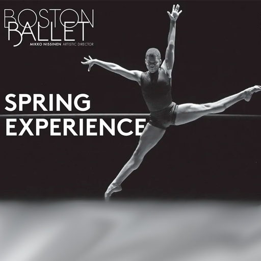 Spring Experience